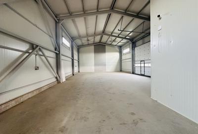 Hala industriala nouă, 386 mp, teren 900 mp, Domnești-Centura - 7
