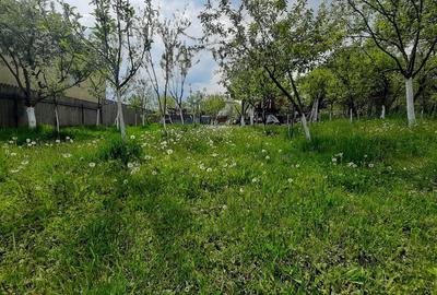 Casa moderna, foarte spatioasa, cu  1500 mp teren, în  Dambul Rotund - 29