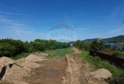 Teren de vanzare-ideal pentru hala sau parcare - 5