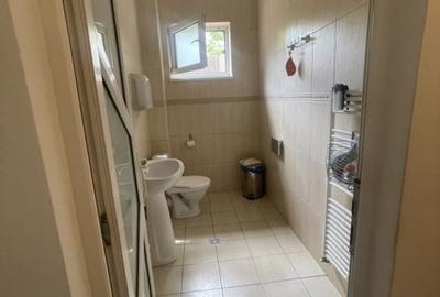Spatiu comercial de inchiriat ,cu  suprafata utila de 140mp , Marasti - 13