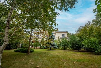 Sediu comercial perfect pentru clinica medicala, spital privat sau camin de batr - 14