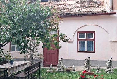 Apartament la casa in zona centrala pretabil birouri - 1