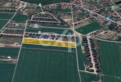 Teren 10.000mp parcelat Balotesti - 2