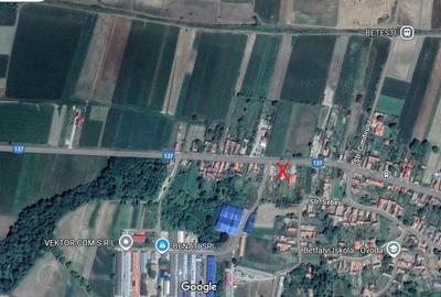 Inchiriez teren si cladiri in localitatea Betesti, judetul Harghita - 4