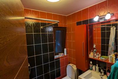 Proprietar VAND DUPLEX la cheie. 180mp casa , 250mp teres - 13