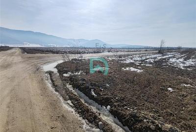 Vanzare teren intravila industrial, 10480 mp, centura Brasov - 6