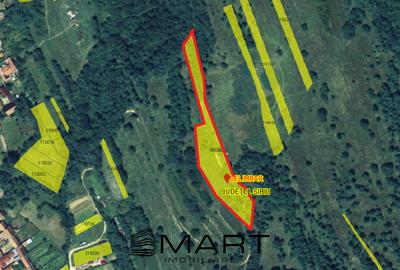 Teren extravilan 5500 mp, la padure zona Selimbar (Mohu) - 4