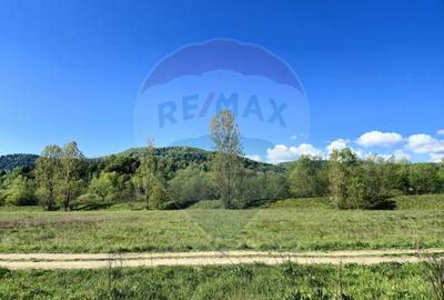 Teren 2,786mp Sighetu Marmatiei / Strada Zimbrului - 1