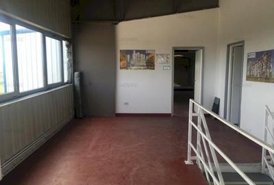 HALA NOUA PRODUCTIE/DEPOZITARE - 6
