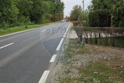 Teren intravilan, 752 mp, Bolintin-Deal, Giurgiu - 6