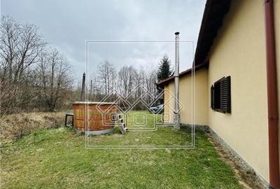 Casa de vacanta de vanza - oportunitate de investitie - zona turistica - 21