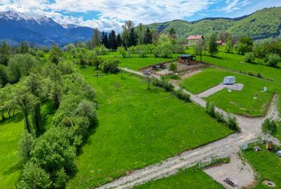 Teren intravilan zona Bran-Tohanita,judetul Brasov loturi intre 500 si 1000 m - 5