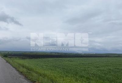 Teren agricol extravilan de 14100 mp, în Dornești