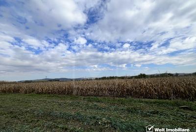 Teren 26.000mp, halta Rascruci drum european E576 Cluj - Dej - 4