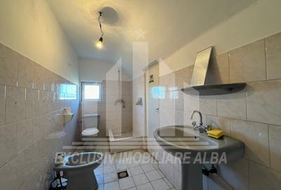 Casa individuala | Pensiune | 320 mp | 750 mp teren | Cetate - 17