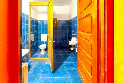Tur 3D! Proprietate versatila:rezidential/ comercial/investitional,Bereni,Mures - 12