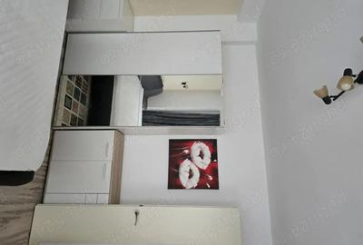 Apartament de închiriat 2 camere, 5 minute parc Herestrau - 8