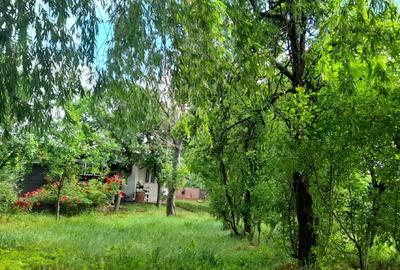 Casa de vanzare sat Manastioara, com. Fitionesti, jud. Vrancea, - 5