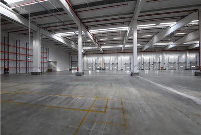 Spatiu Industrial - 5000 mp - Logistica - Depozitare - Distributie - 5