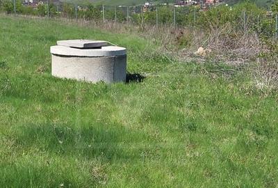 Teren extravilan 2000 mp, împrejmuit, panoramă superbă – Sălicea (Cluj) - 10