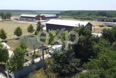 Black Angus Farm with authorized Slaughterhouse - 6