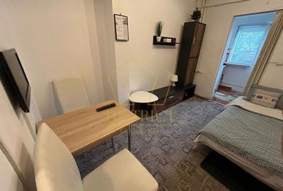 Apartament cu o camera la parter inalt | Lipovei - 4