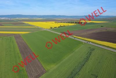 5 terenuri agricole de vânzare în Sântionlunca! - 6