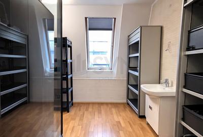 REC3001743 Triplex - 6 camere I Spatiu de birouri I Terasa 75 mp I View Superb I - 14