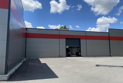 Inchiriere depozit/hala/spatiu industrial Jilava - Giurgiului, Ilfov - 4