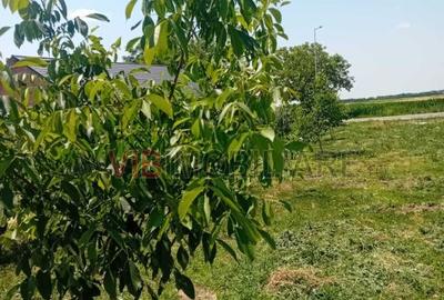 Teren intravilan 16.000 mp | Livadă mixtă | Front stradal 85 ml | Utilități comp - 2