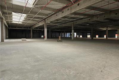 Spatiu Industrial - 9500 mp - Logistica - Productie - Depozitare - Distributie - 4