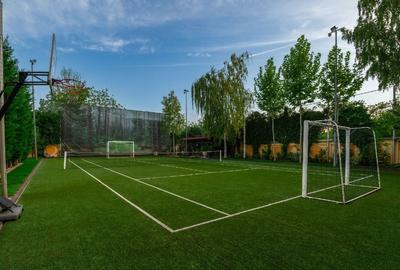 Vila grandioasa, Gradina Japoneza, SPA, Crama, Teren Tenis, Foisor, Iaz Pesti - 12