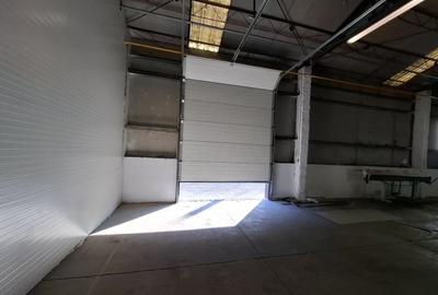 Hale renovate Calea Baciului / 2 x 530 mp / 3 x 400 mp - 6
