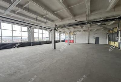 Hala industriala compartimentata in 5 spatii situat in zona Centrala - 8