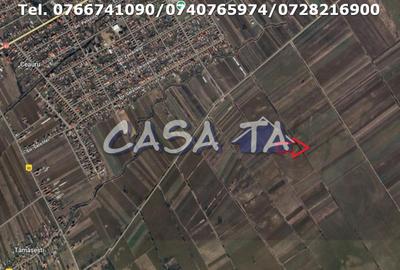 Teren Extravilan-Agricol, Balesti - 2