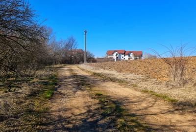 Teren intravilan 13175mp utilitati Ciolpani Strada Alunisului - Padurea Snagov - 3