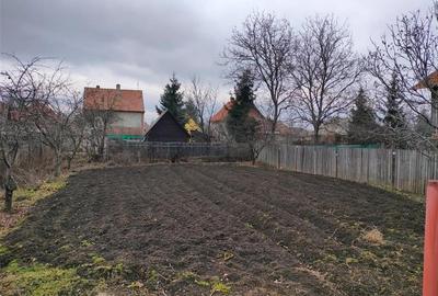 Casa spatioasa cu 1000 mp teren, Halchiu, Brasov - 11