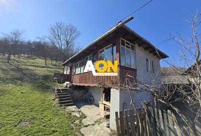 Casa de Vacanta 2 Camere, Strada Morilor Zlatna - 16