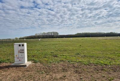 Lot teren Eden Forest Crevedia cu bransament curent trifazic existent - 3