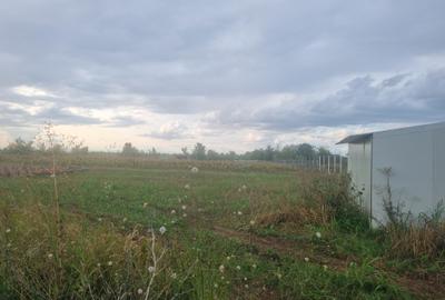 Teren de vanzare in Ciolpani - 5