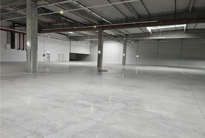 Spatiu Industrial - 1800 mp - Productie - Depozitare - Distributie - 15