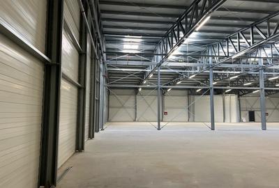 Hala de inchiriat depozitare si productie 1550 mp. Mogosoaia - Buftea - 14
