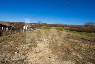 Teren intravilan 1152 mp în Ruși, cu acces la două drumuri și utilități în față - 1