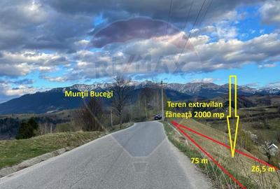 Teren extravilan, 2000 mp, Sat Peștera (com Moieciu) - 1