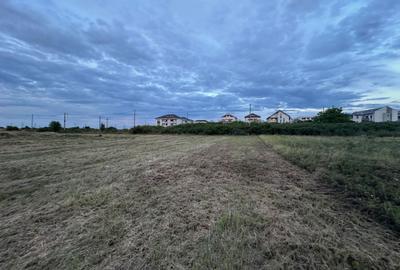 Teren servici cu front la BLD Petre Tutea - 1