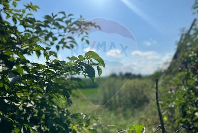 Teren Construcții intravilan de 3765 mp, în Bodeștii de Jos