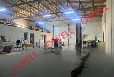 Spații potrivite pentru atelier sau depozit de închiriat în Sfântu Gheorghe! - 8