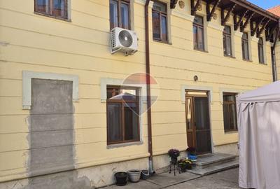 Monument istoric cu identitate aparte și potențial investițional - 5