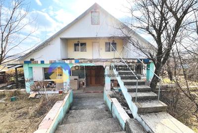 CASĂ cu teren 5958 mp – DOBRENI, judetul Neamț - 2