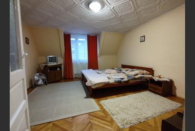 Casa cu mansarda, 7 camere, anexe, Sanmartin - 9